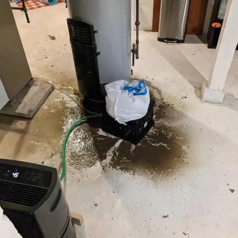 Sewage Backup Cleanup Service in Storey County, NV